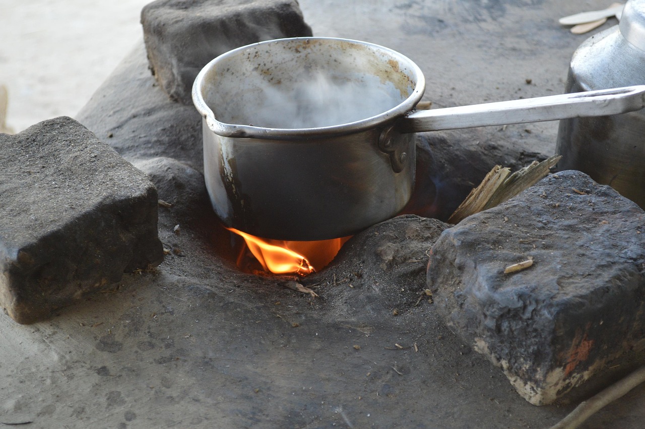 Camp Stoves Compared: Canister, Alcohol, and Wood-Burning