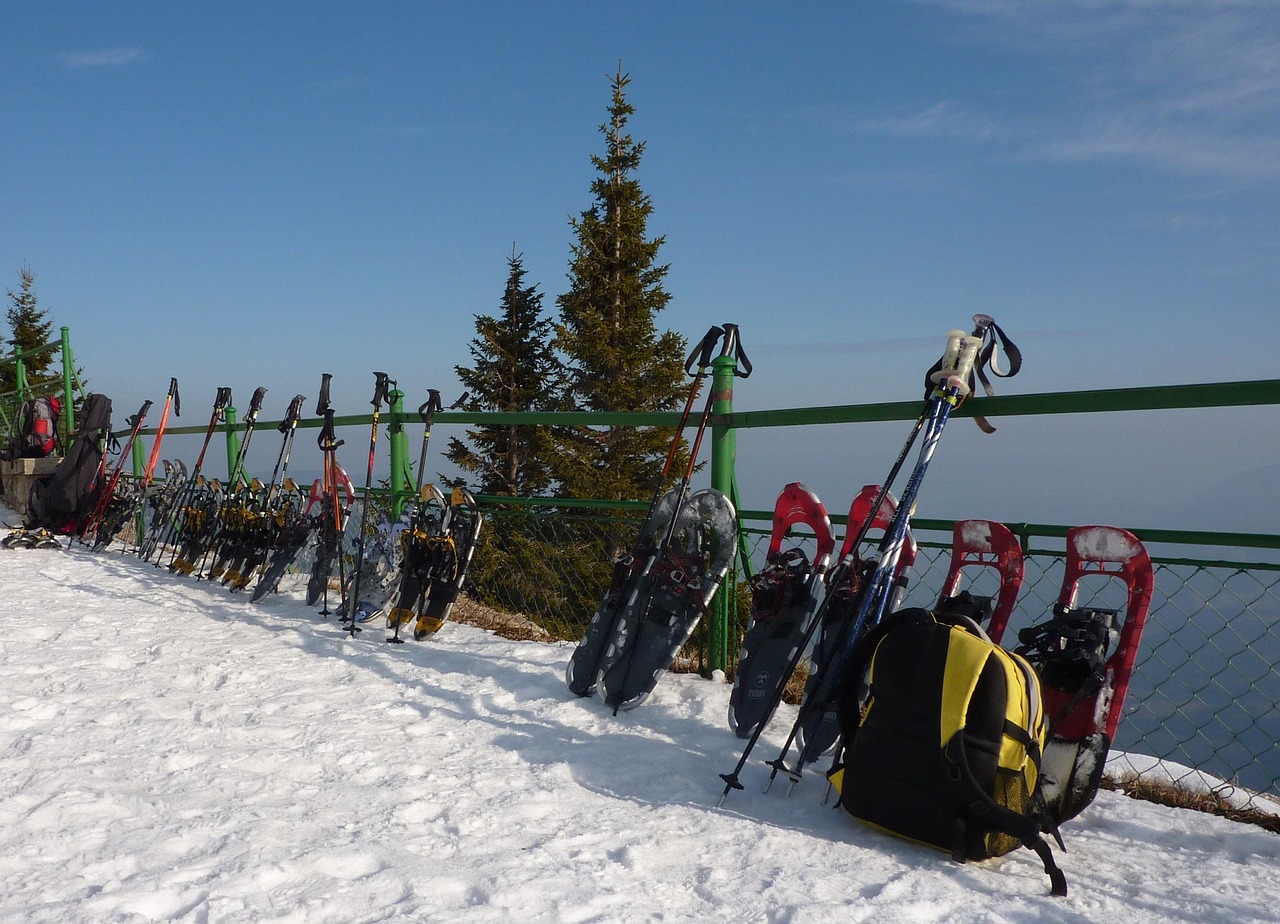 Trekking Poles 101: Why Two Sticks Beat One (and When to Skip Them)